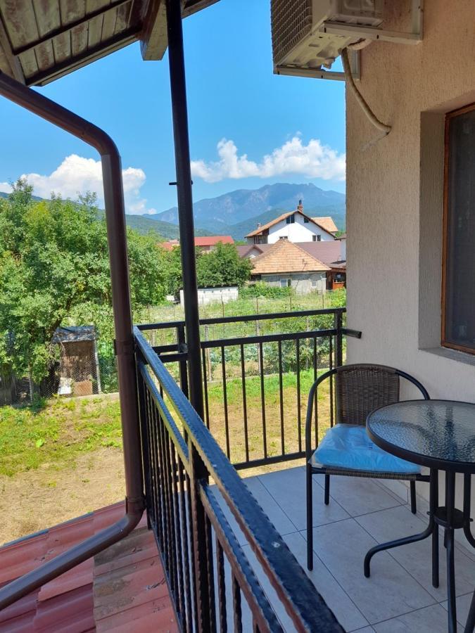Casa Zoe Seaca Villa Călimăneşti Exterior foto