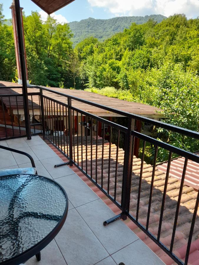 Casa Zoe Seaca Villa Călimăneşti Exterior foto